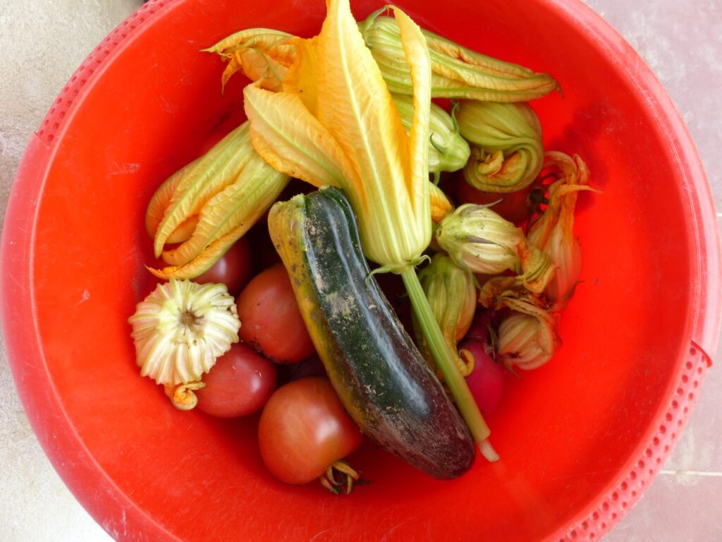 Gran_Azul_Hotel_Salento_Quindio_28